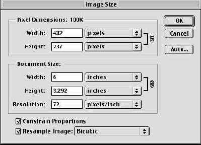   Image Size