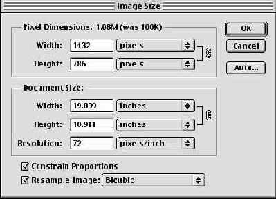   Image Size
